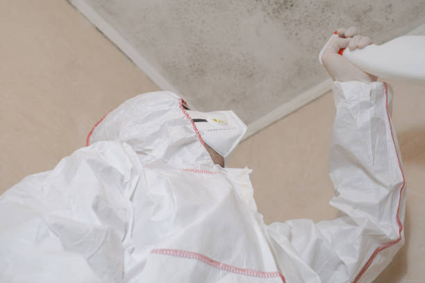 Best Mold Odor Removal Services  in Dumas, TX